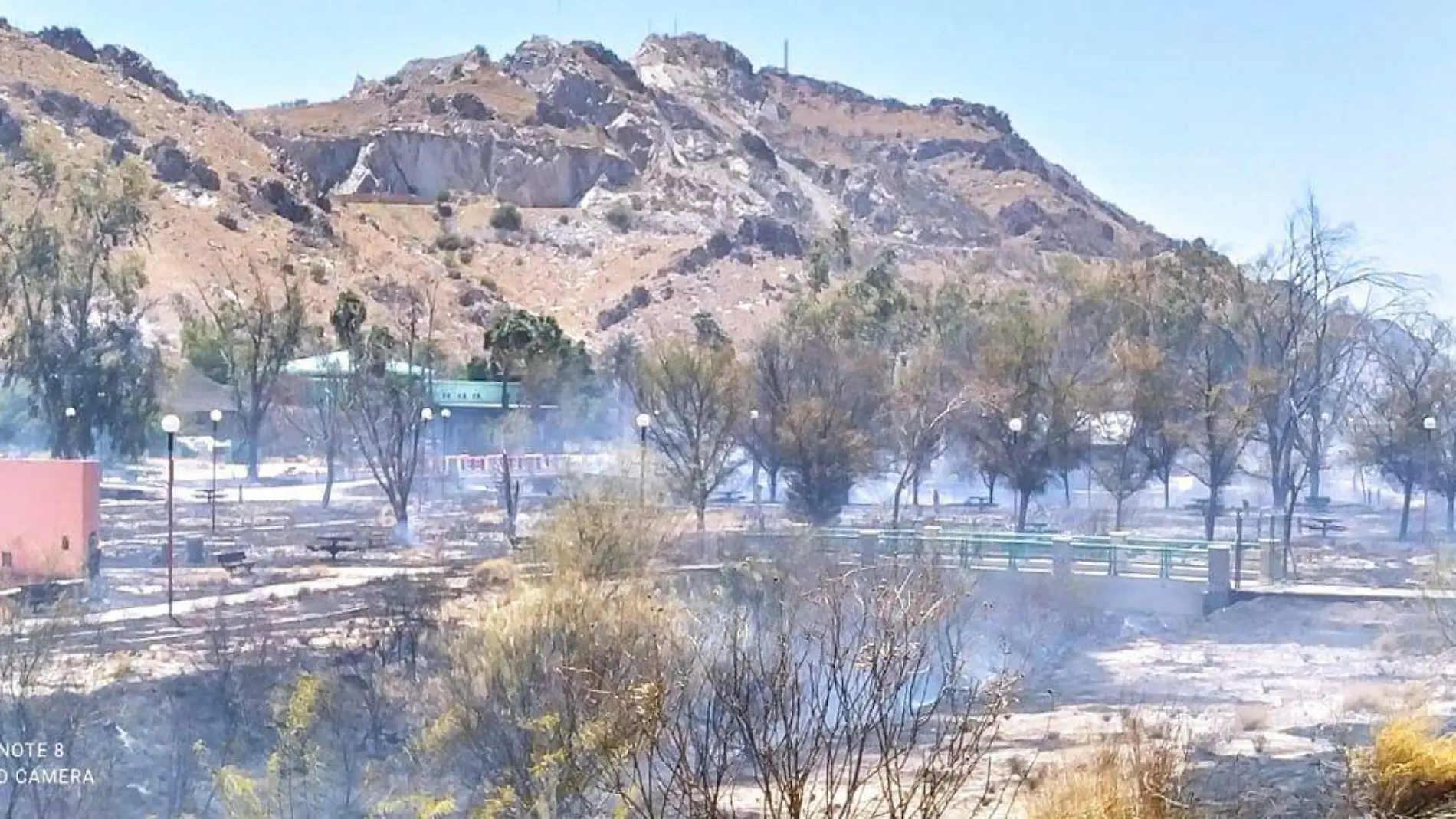 Incendio de maleza en La Sauceda (6)